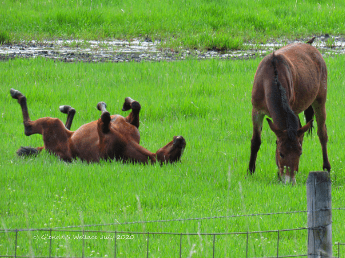 Creativity is an act of sanity while spending Time On The Planet