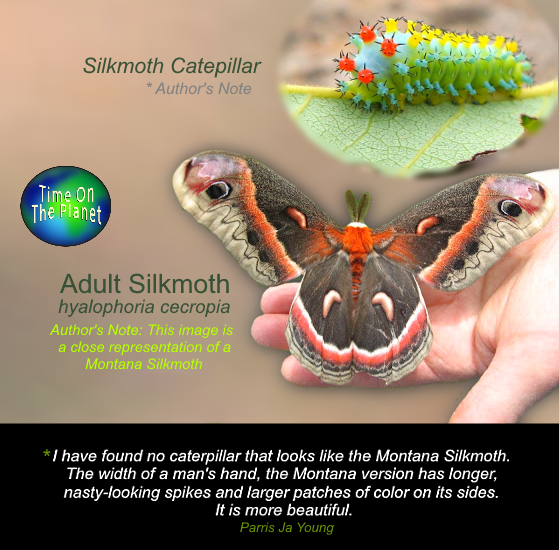 The Montana Mothman by Parris Ja Young on Time on the Planet Stories